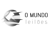 O mundo leilões