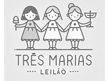 Leilão Três Marias