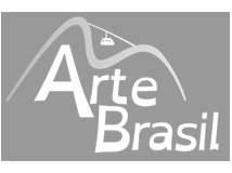 Arte Brasil Leilões