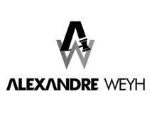 Alexandre Weyh - Leiloeiro Oficial